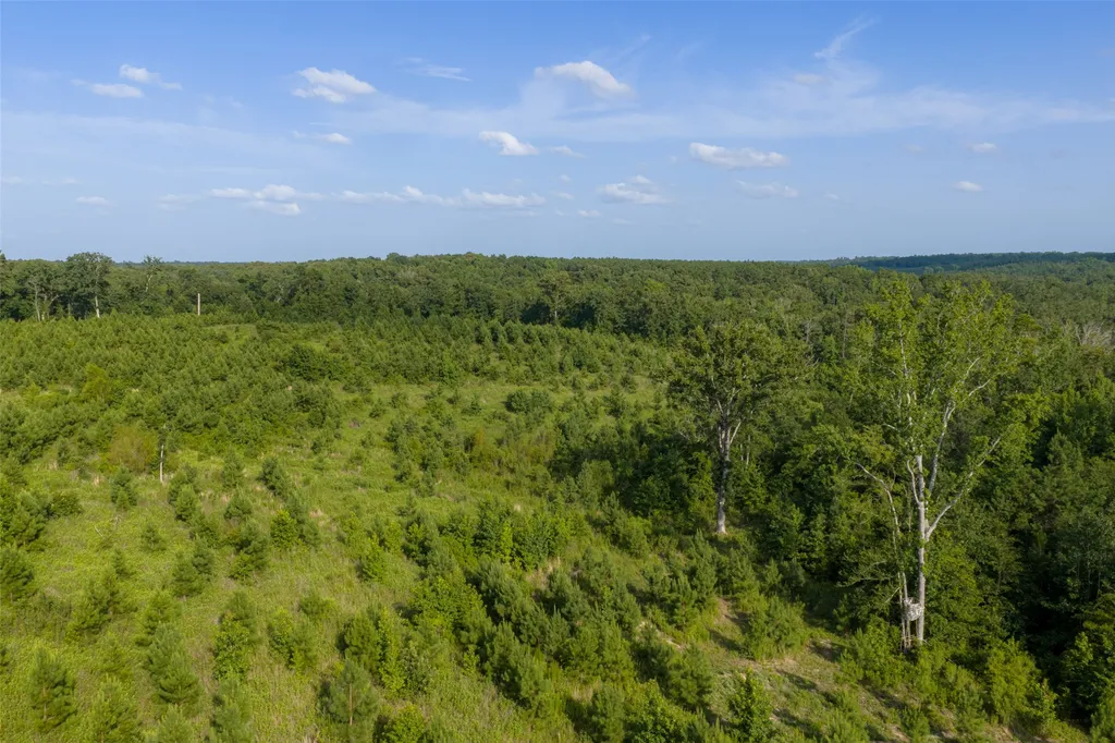 000 County Road 436 Laneville TX 75667