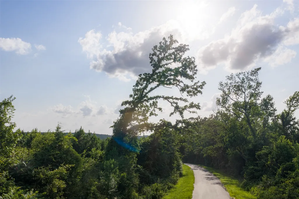 000 County Road 436 Laneville TX 75667