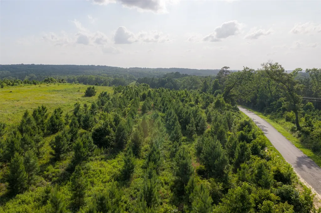 000 County Road 436 Laneville TX 75667