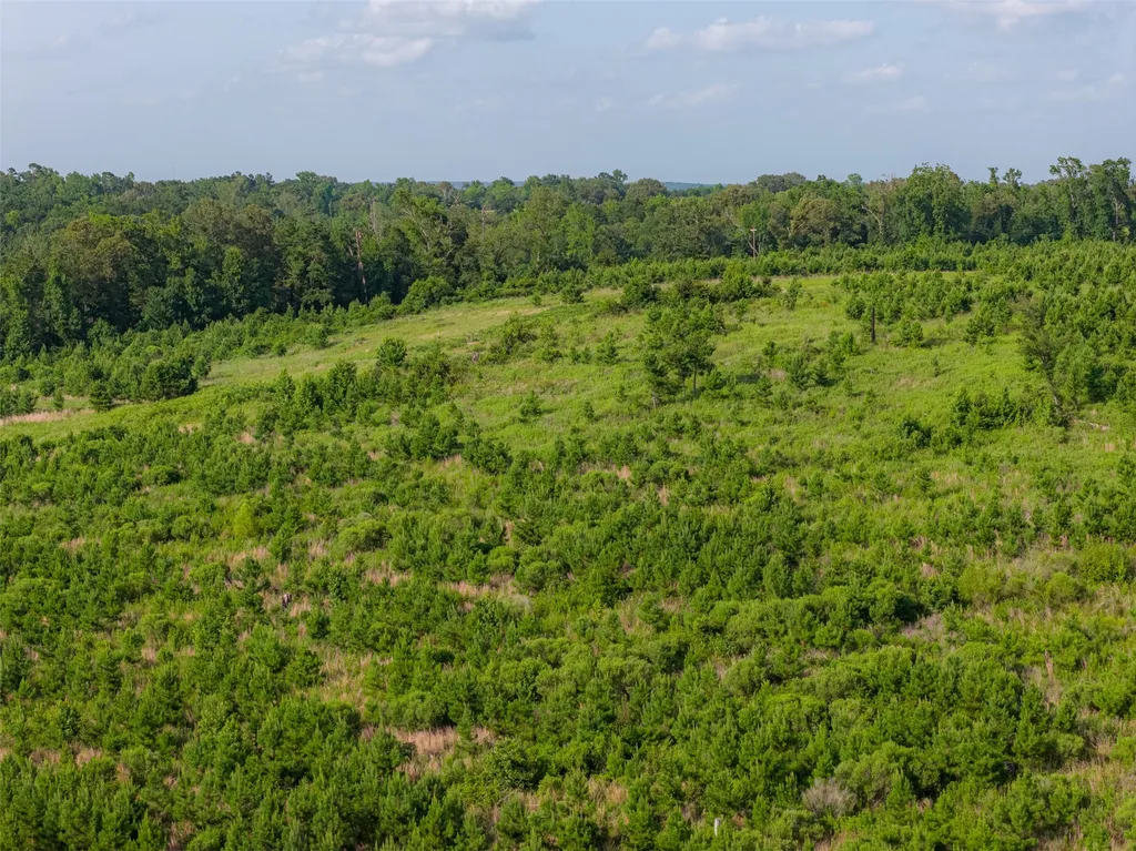 000 County Road 436 Laneville TX 75667