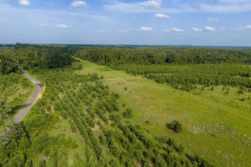 000 County Road 436 Laneville TX 75667