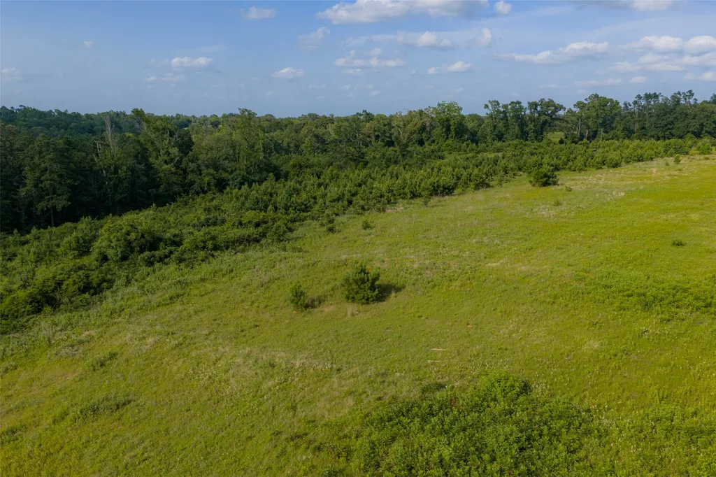 000 County Road 436 Laneville TX 75667