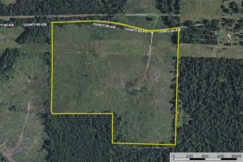 000 County Road 436 Laneville TX 75667