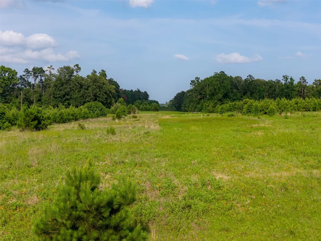 000 County Road 436 Laneville TX 75667