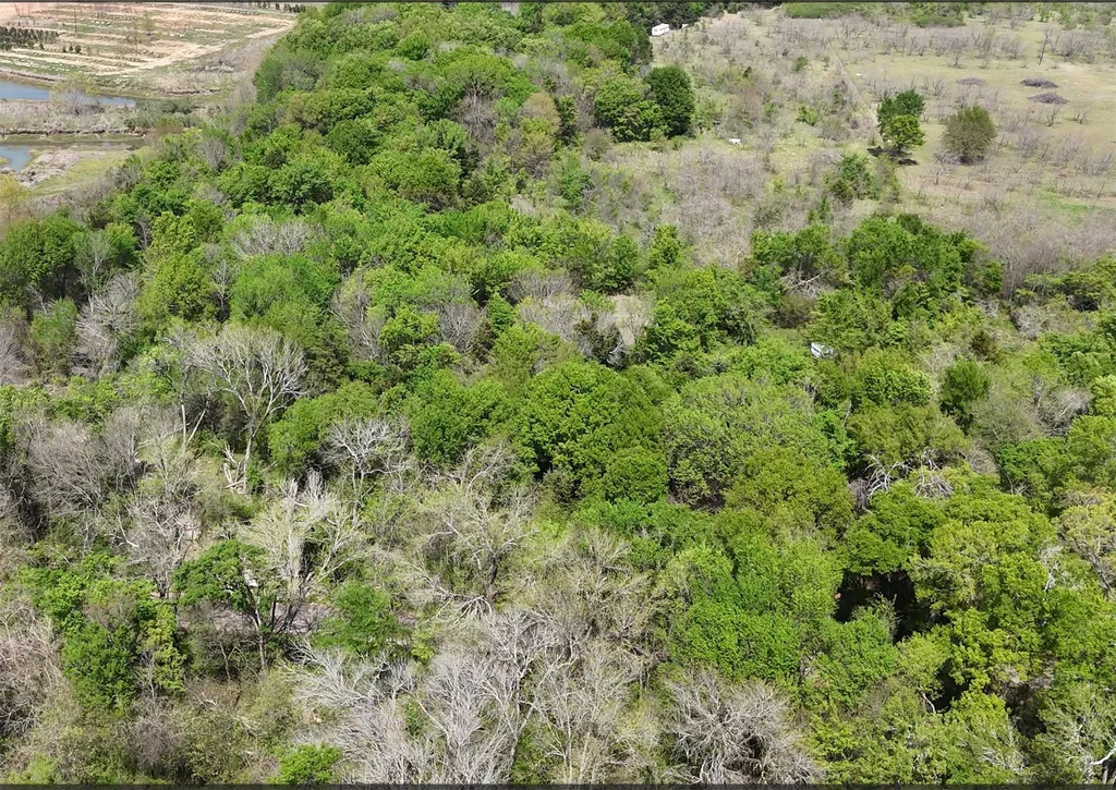 Tbd Fcr 980 Mexia TX 76667