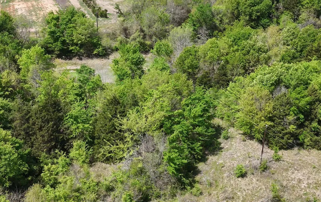 Tbd Fcr 980 Mexia TX 76667