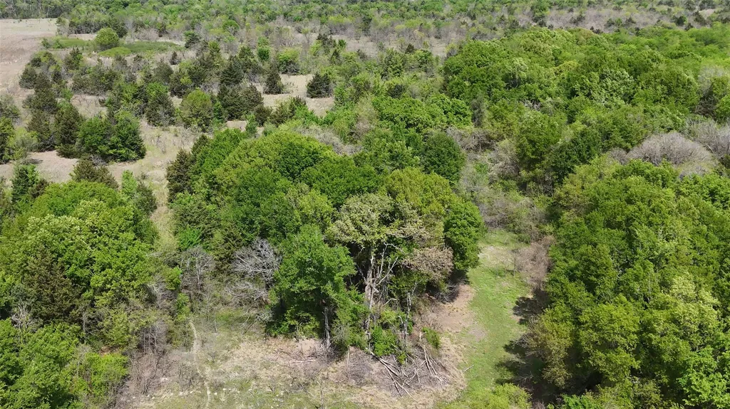 Tbd Fcr 980 Mexia TX 76667