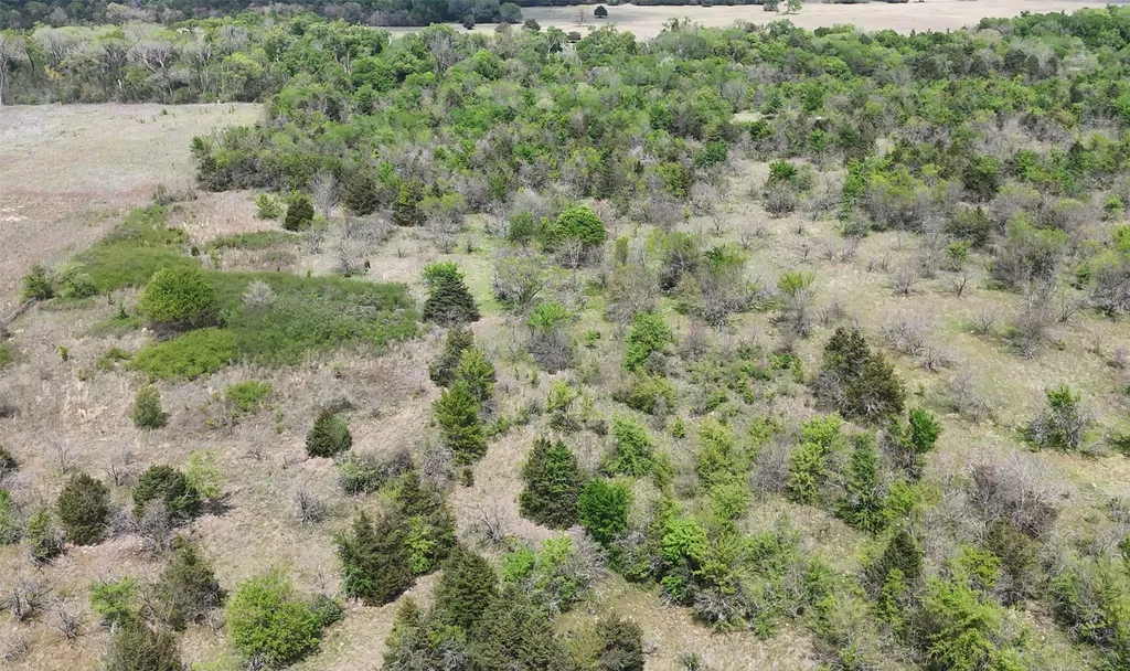 Tbd Fcr 980 Mexia TX 76667