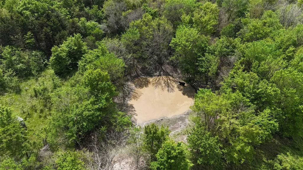 Tbd Fcr 980 Mexia TX 76667