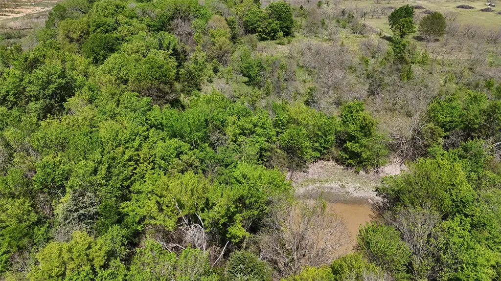Tbd Fcr 980 Mexia TX 76667