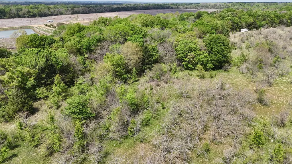 Tbd Fcr 980 Mexia TX 76667
