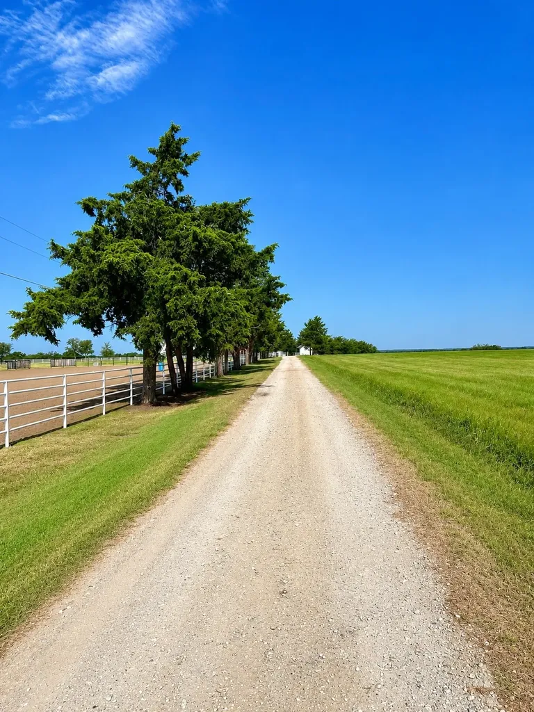 13598 Fm 47 Wills Point TX 75169