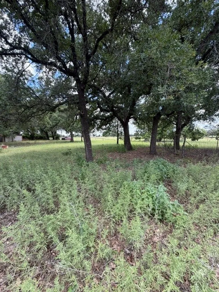 1363 County Road 527 Baird TX 79504