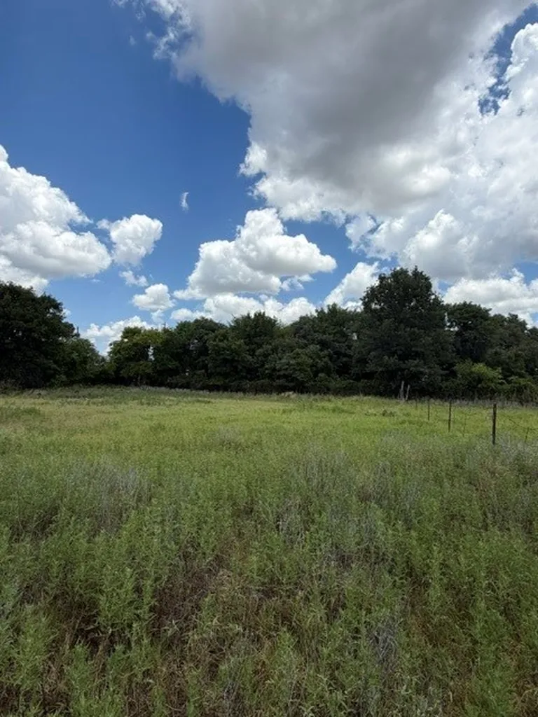1363 County Road 527 Baird TX 79504