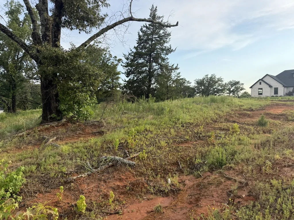 12335 Oak Grove Drive Tyler TX 75706