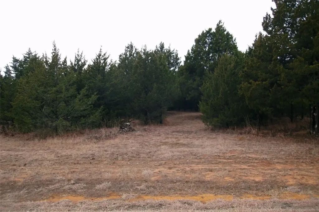 224 Barrington Circle Gordonville TX 76245