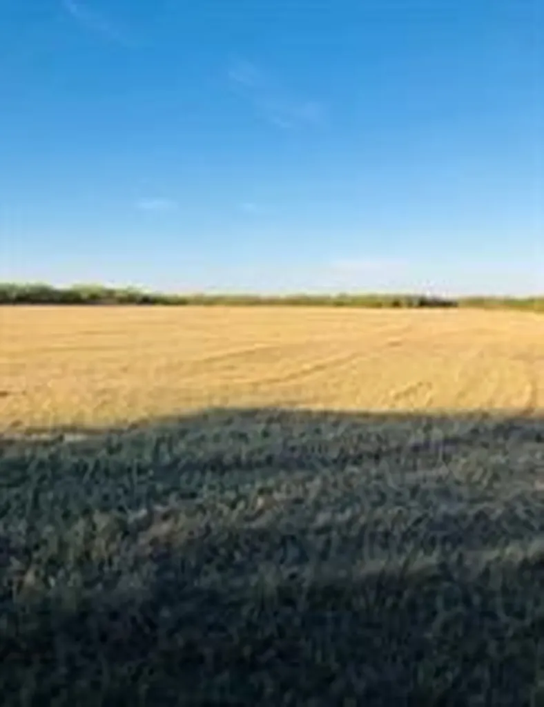 Tbd Farm Market 142 Lueders TX 79533