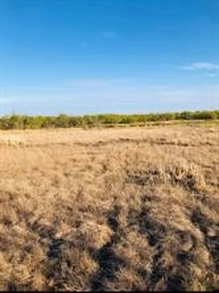 Tbd Farm Market 142 Lueders TX 79533