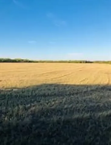 Tbd Farm Market 142 Lueders TX 79533