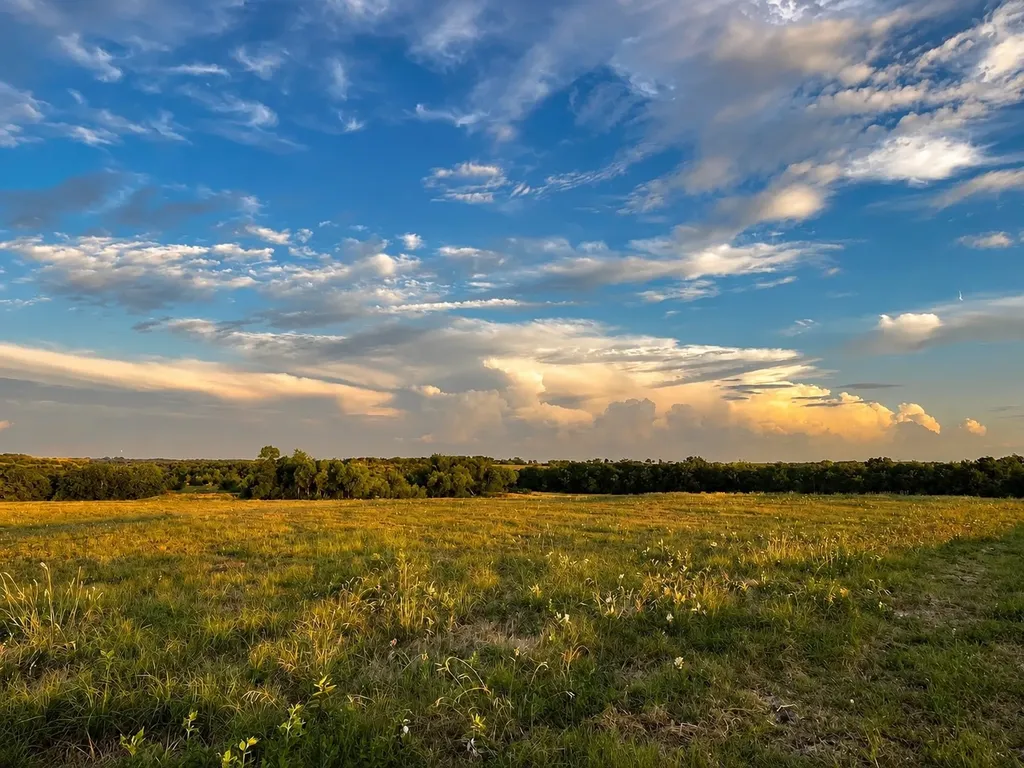Tract C2-1 County Road 1140 Celeste TX 75423