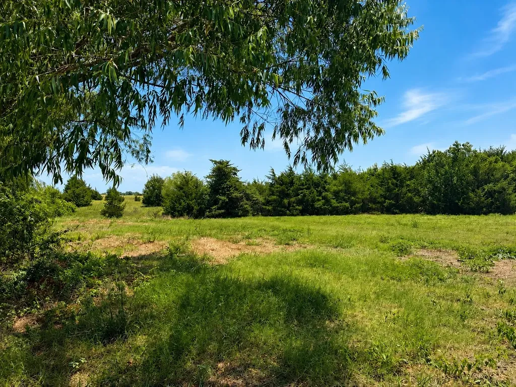 Tract C2-1 County Road 1140 Celeste TX 75423