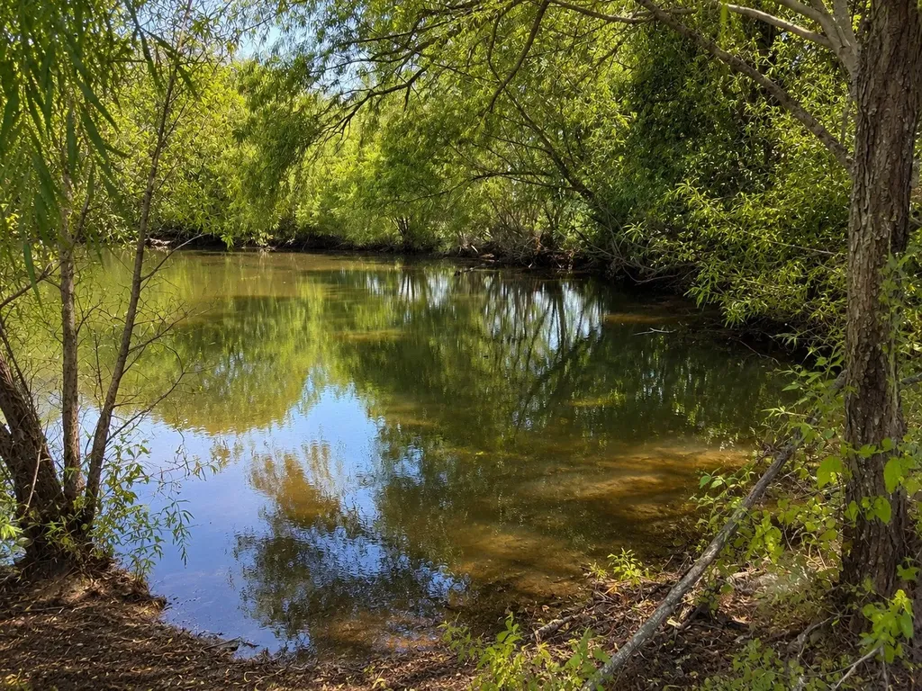 Tract C2-1 County Road 1140 Celeste TX 75423
