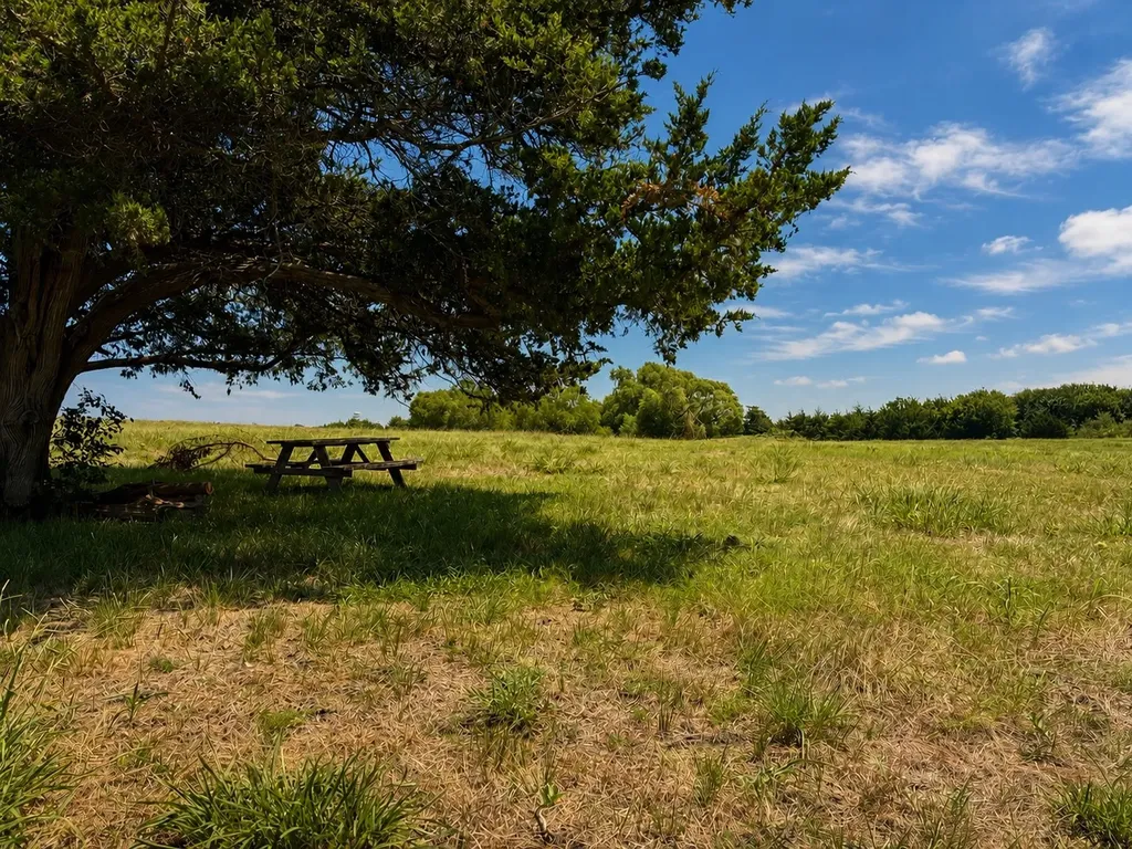 Tract C2-1 County Road 1140 Celeste TX 75423