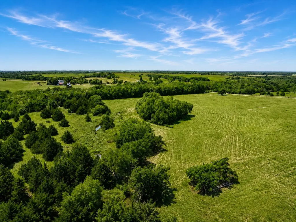 Tract C2-1 County Road 1140 Celeste TX 75423