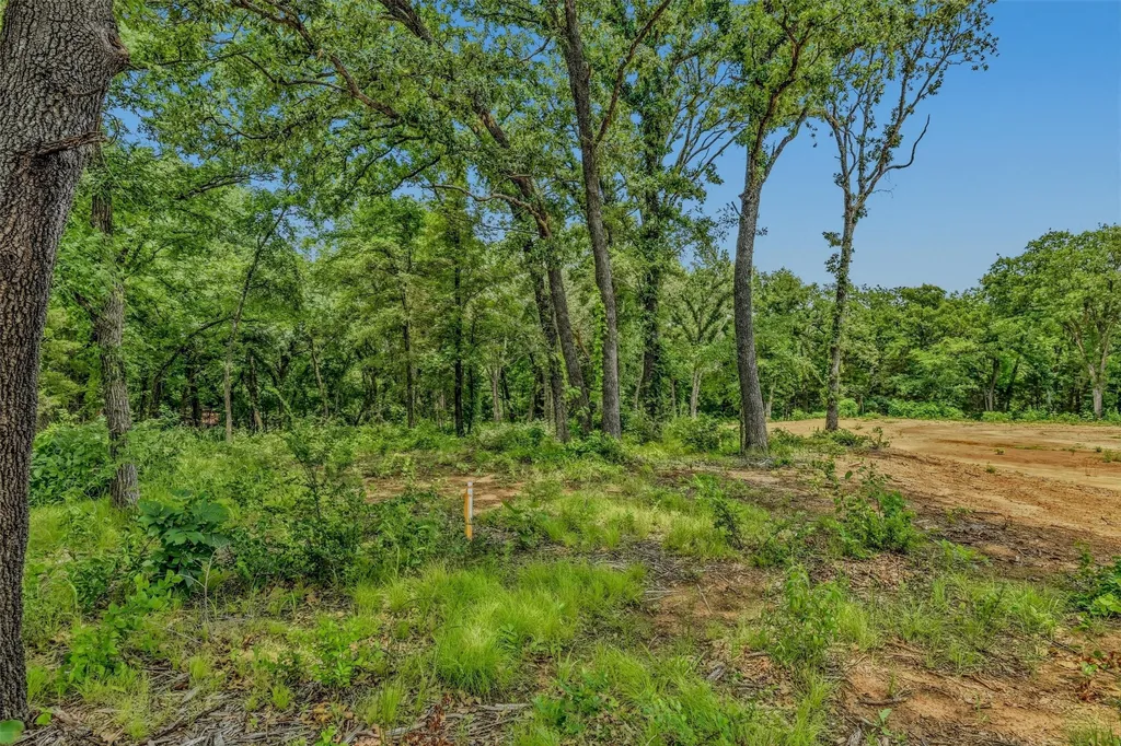 400 Wild Wood Lane Whitesboro TX 76273