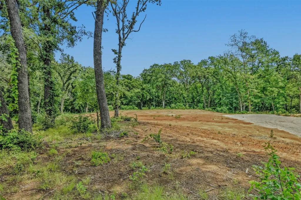 400 Wild Wood Lane Whitesboro TX 76273