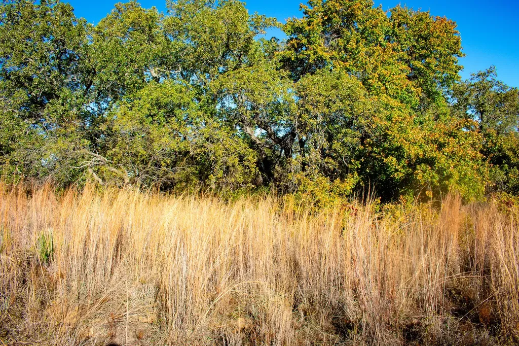Tbd Fm 45 San Saba TX 76877