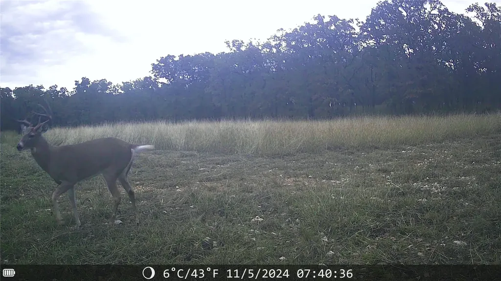 1309 County Road 1895 Sunset TX 76270