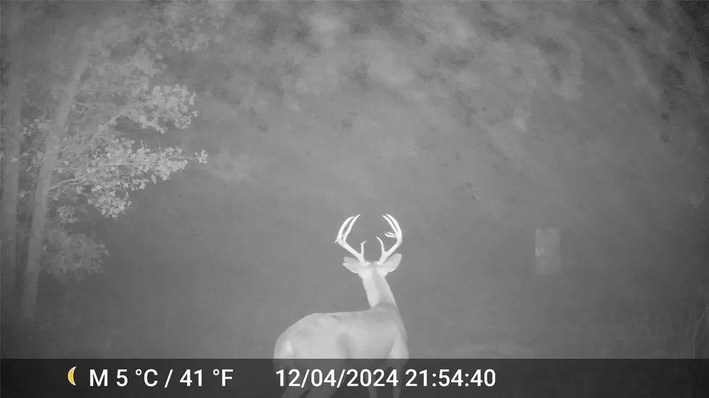 1309 County Road 1895 Sunset TX 76270