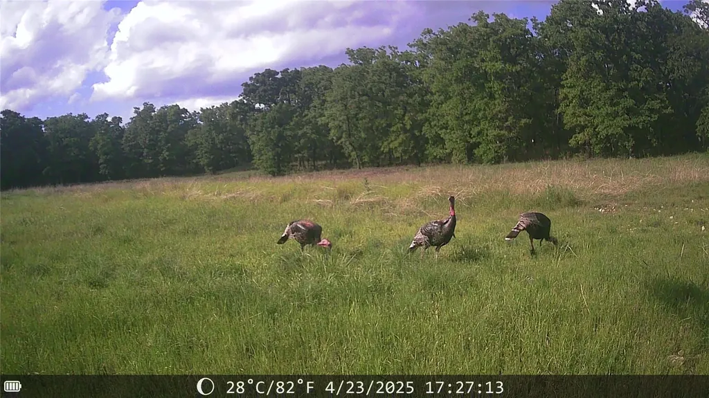 1309 County Road 1895 Sunset TX 76270