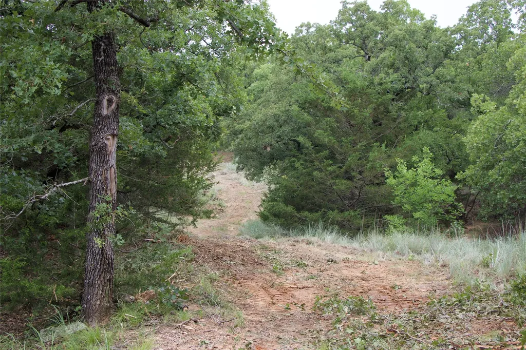 1309 County Road 1895 Sunset TX 76270