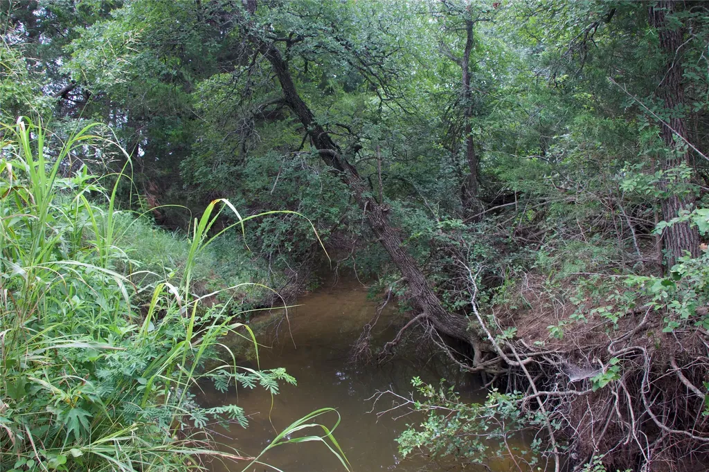 1309 County Road 1895 Sunset TX 76270