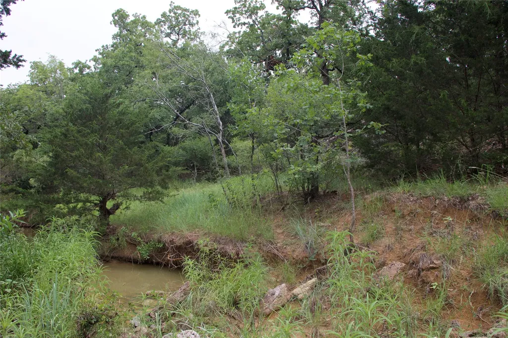 1309 County Road 1895 Sunset TX 76270