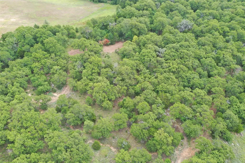 1309 County Road 1895 Sunset TX 76270