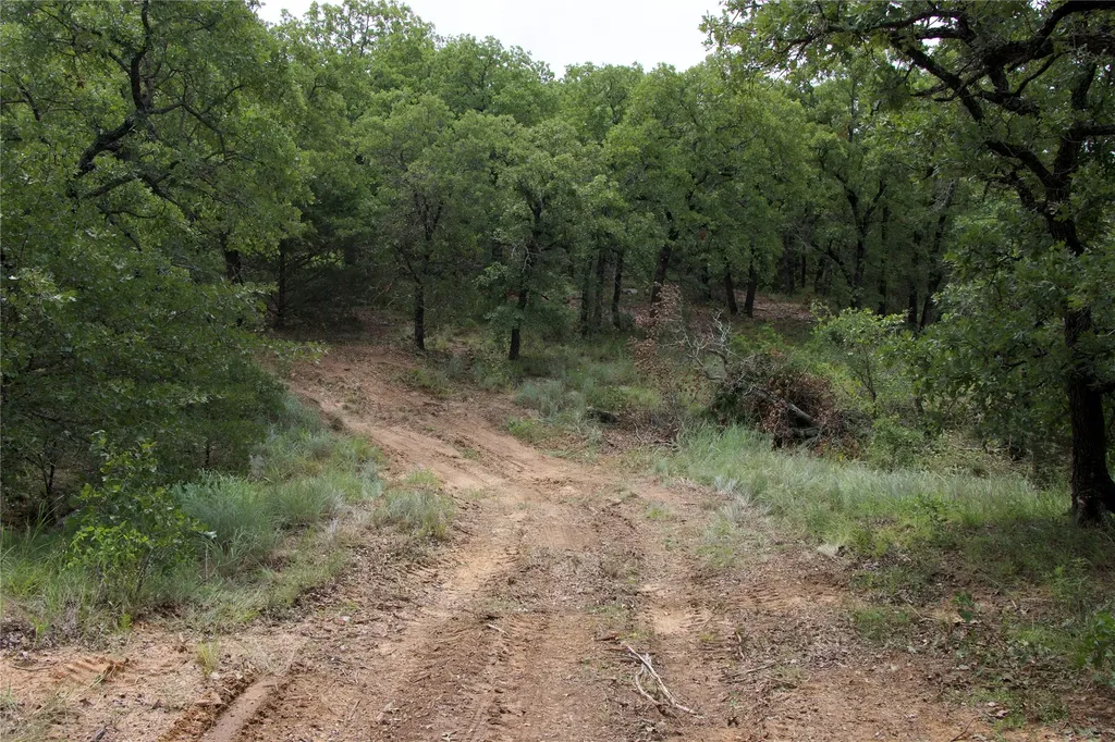 1309 County Road 1895 Sunset TX 76270