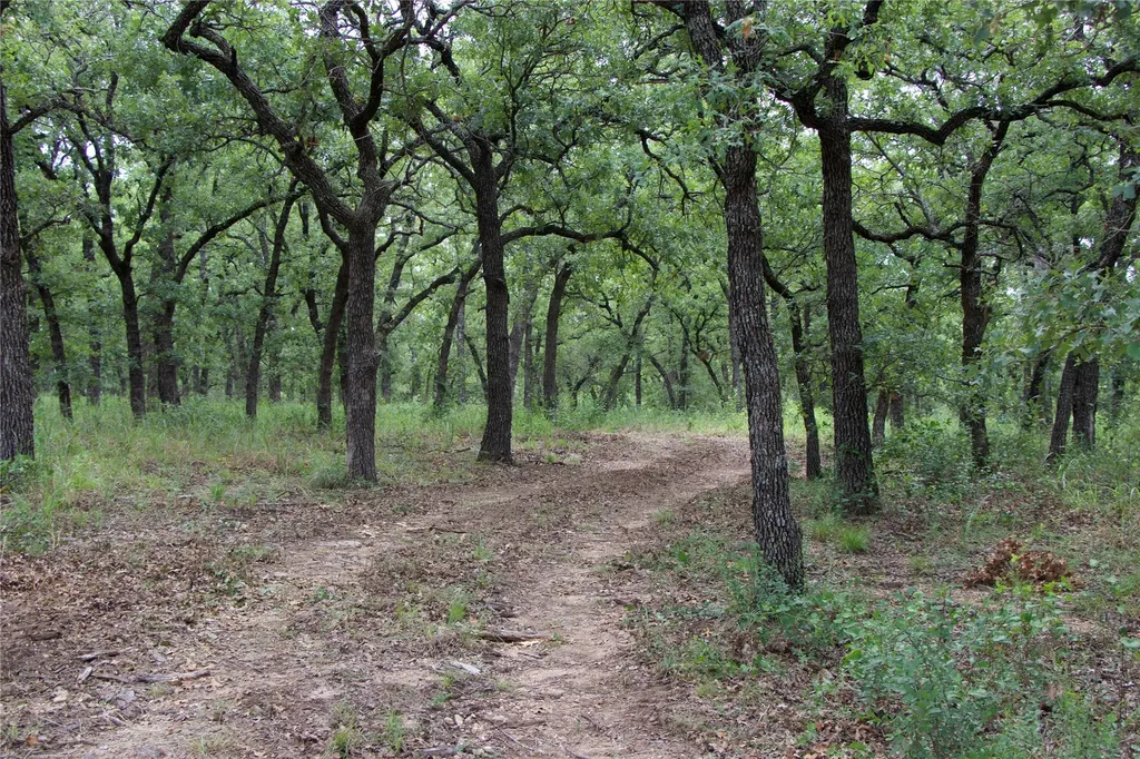 1309 County Road 1895 Sunset TX 76270