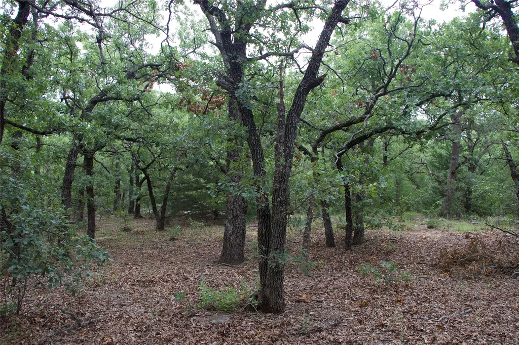 1309 County Road 1895 Sunset TX 76270