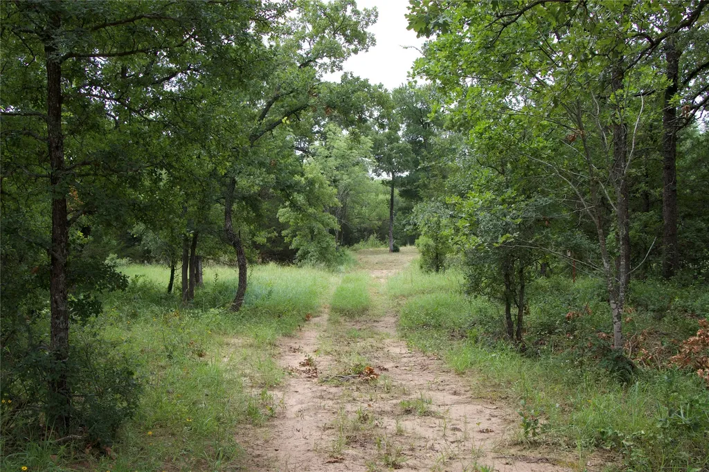 1309 County Road 1895 Sunset TX 76270