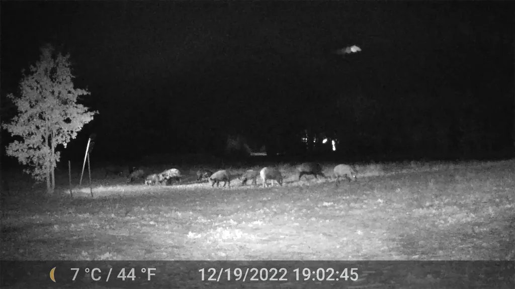 1309 County Road 1895 Sunset TX 76270