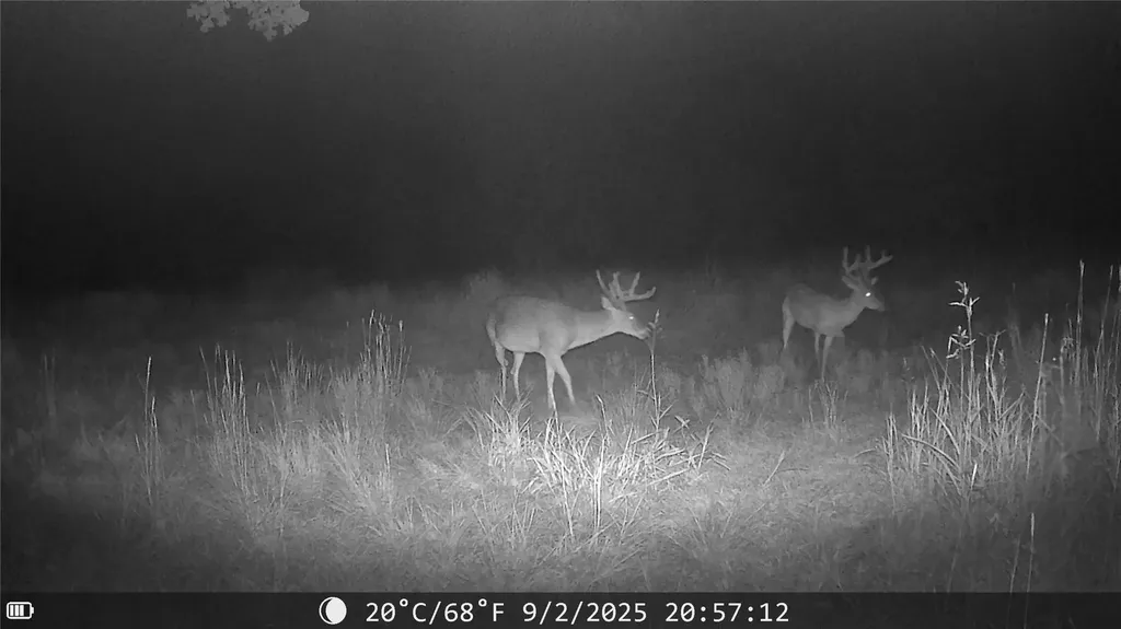1309 County Road 1895 Sunset TX 76270