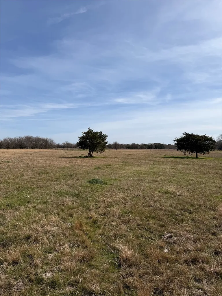 Lot 1 Cr-4043 Kemp TX 75143