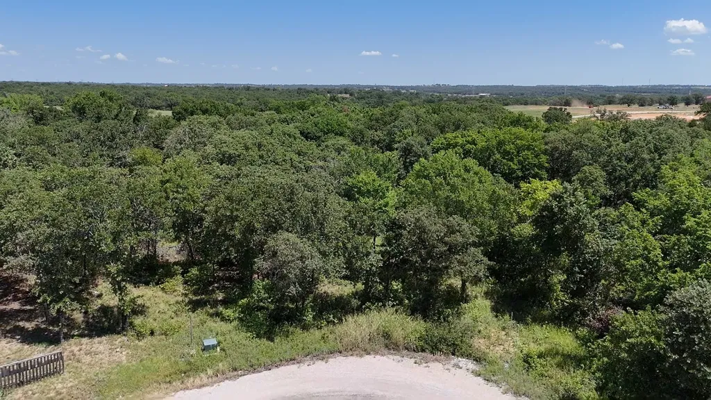 1029 Ironwood Way Poolville TX 76487