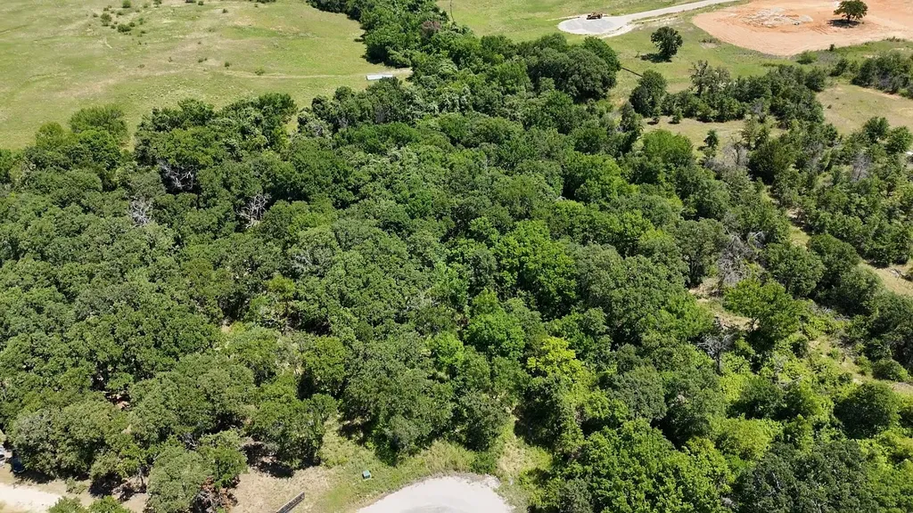 1029 Ironwood Way Poolville TX 76487