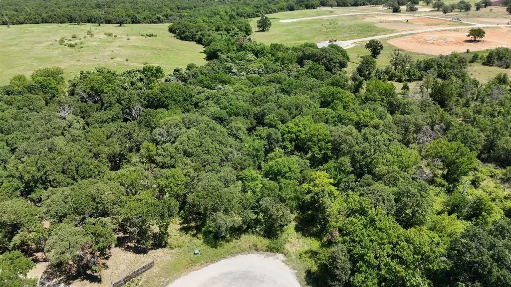 1029 Ironwood Way Poolville TX 76487