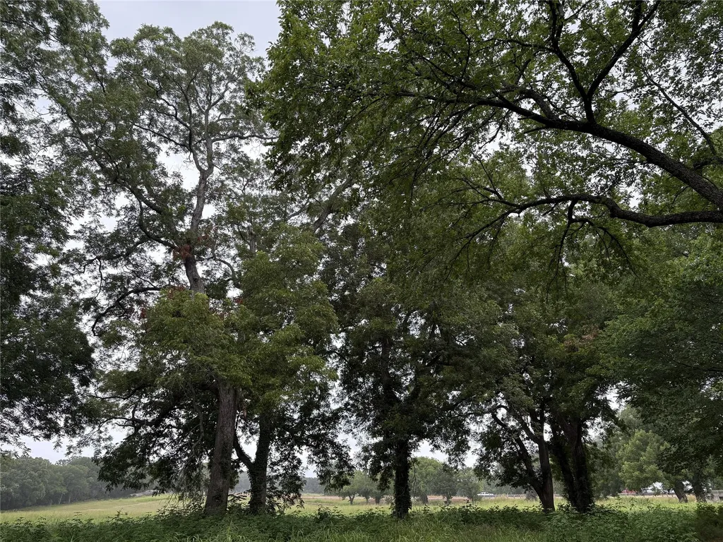 Tbd W State Highway 31 Purdon TX 76679