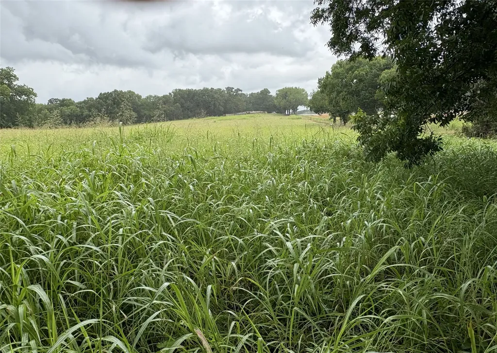 Tbd W State Highway 31 Purdon TX 76679